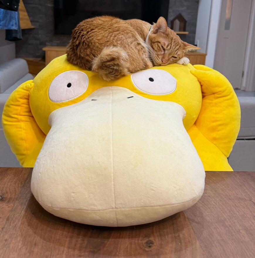 出所：@omochi_nam01