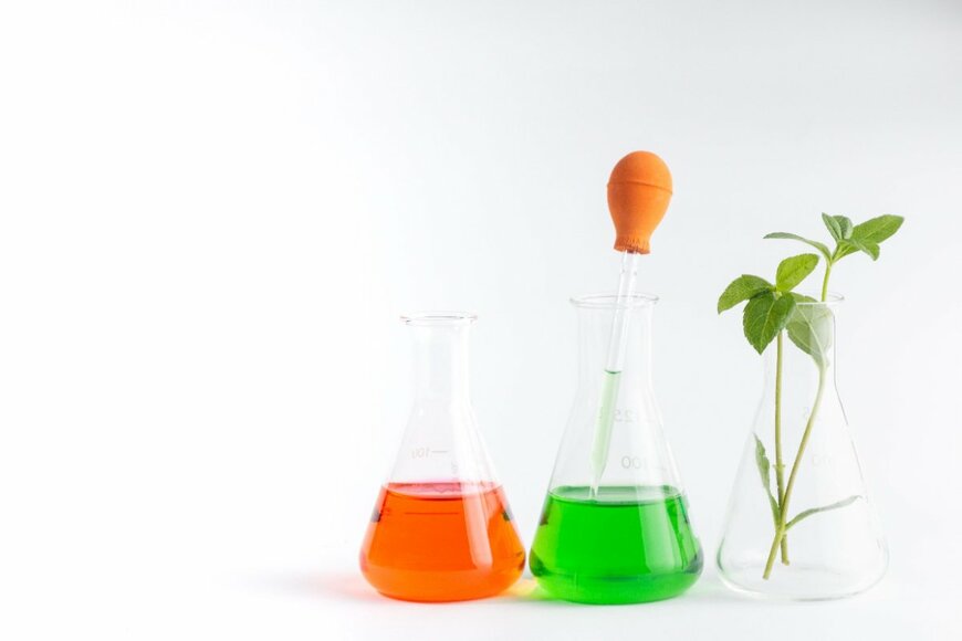 Shuttertum/shutterstock.com