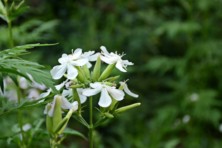 Bad_Jul/shutterstock.com