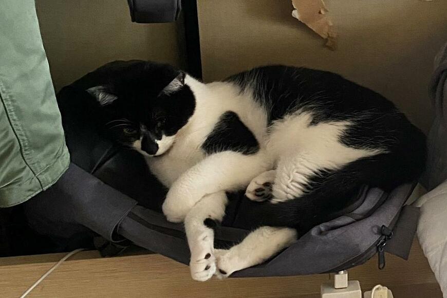 出所：@00shitemita