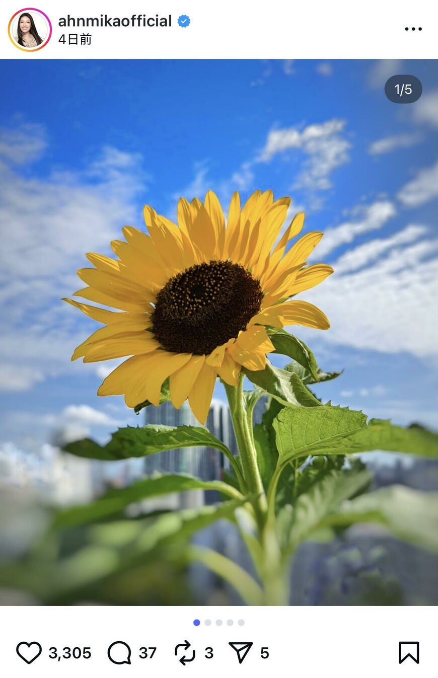 出所：アンミカのInstagram（＠ahnmikaofficial）参照日：2025年10月2日