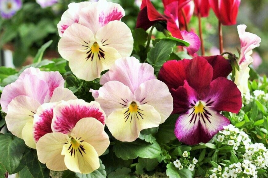 syan/istockphoto.com