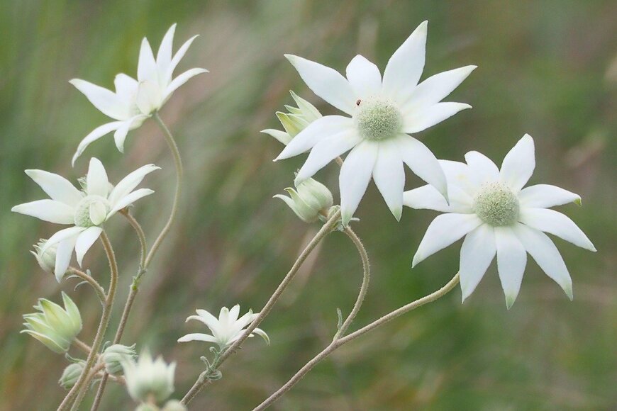 John Porter/istockphoto.com