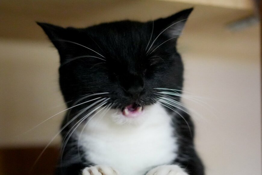 出所：@unicouniuni3