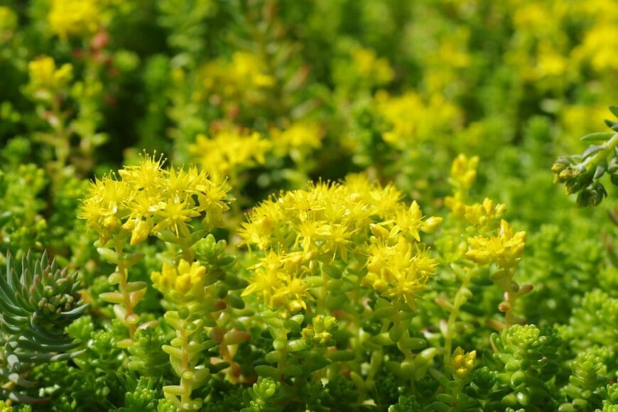 mutsu7211/shutterstock.com