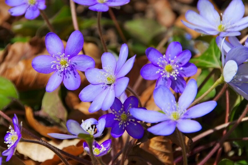 LianeM/istockphoto.com