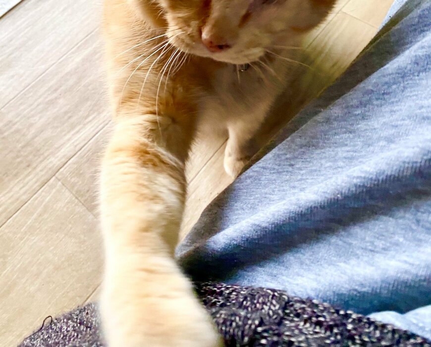 出所：@luna7taka9