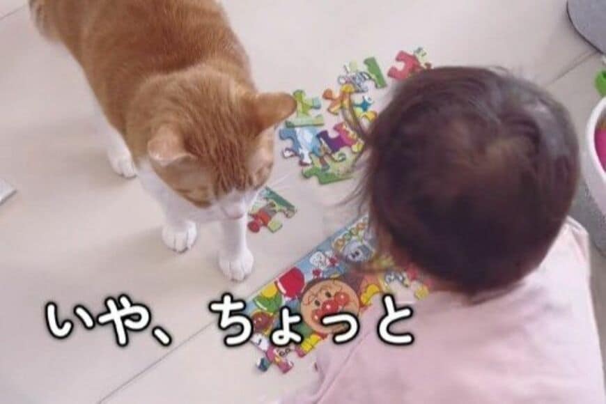【3歳児のことが大好きな猫】一緒にいたかっただけなのに…　「3歳児が猫にした」まさかの行動に思わず二度見