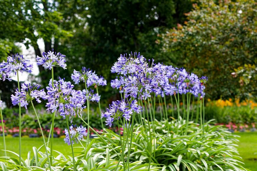 Karel Bock/shutterstock.com