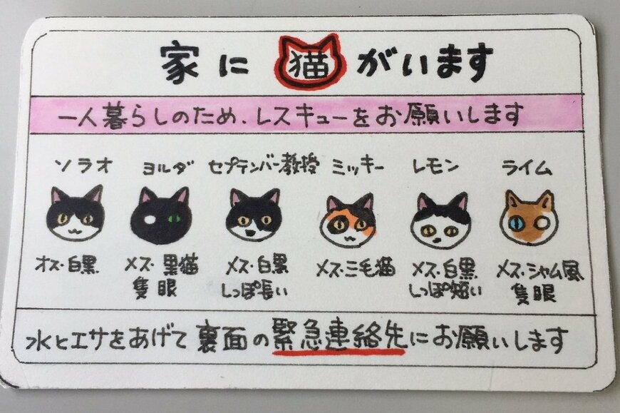 猫マンガ家も携帯する「レスキューカード」 きっかけは緊急搬送された人の話