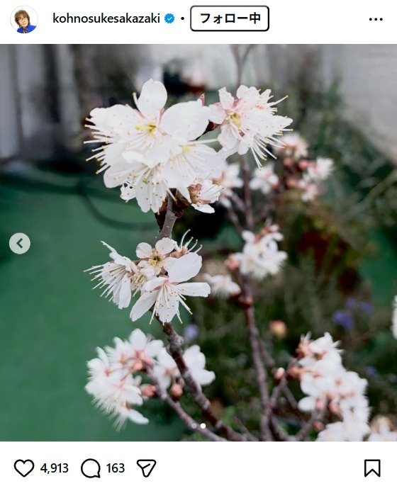 出所：坂崎幸之助のInstagram（＠kohnosukesakazaki） 参照日：2026年3月2日