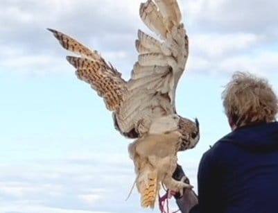 投稿動画のワンシーン