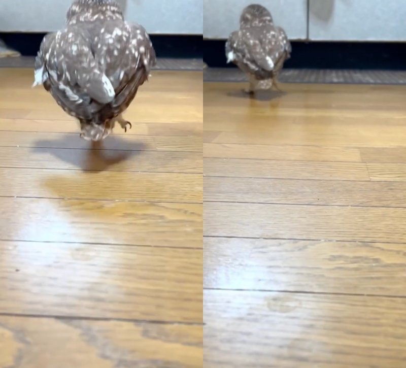 投稿動画のワンシーン