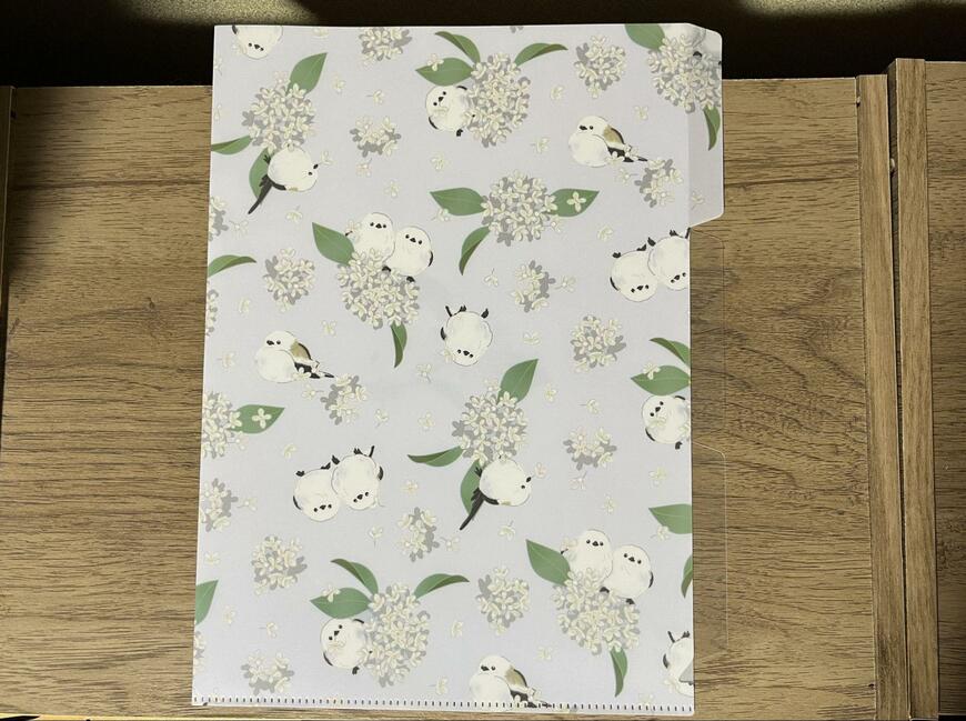 キャンドゥ、02KSA4クリアホルダー3ポケット画像