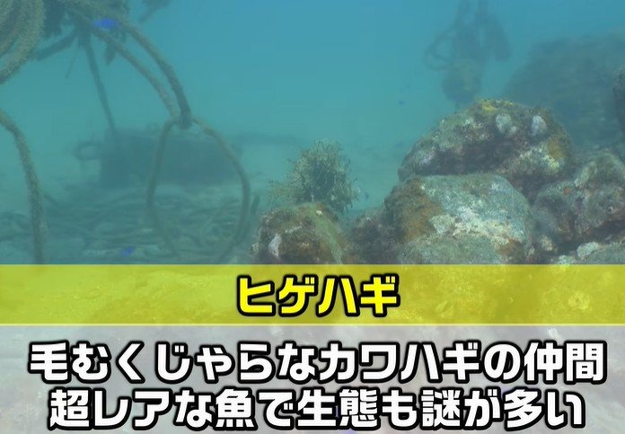 YouTubeチャンネルに投稿された動画