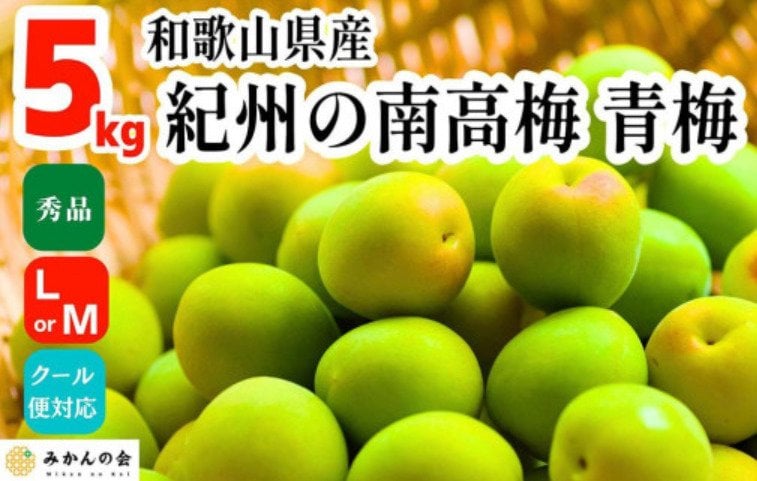 出所：<u><a href="https://www.furusato-tax.jp/product/detail/30366/5099666" target="_blank">ふるさとチョイス 青梅 南高梅 5kg 秀品 LまたはMサイズ</a></u>