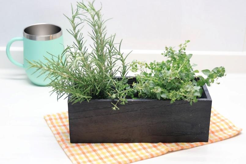 長方形のブラックの木製鉢カバーに2つのハーブが植えられている。