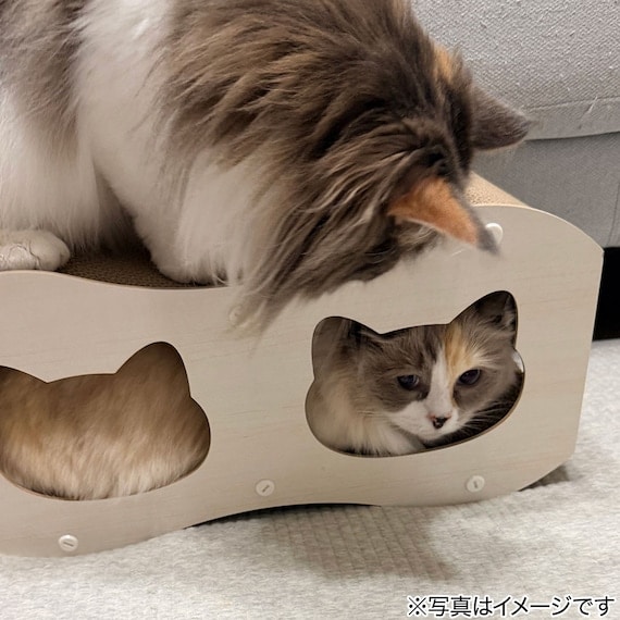 出所：ニトリ公式通販ニトリネット　爪とぎトンネル Mサイズ（WW ネコ DH25）