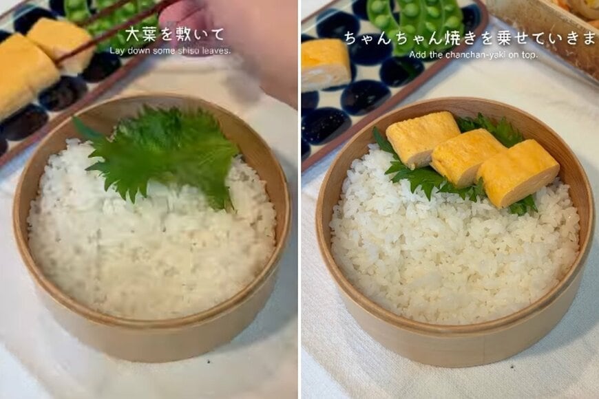 投稿の画像