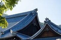 京都屈指の観光地に現れた「たらこくちびる」に笑ってしまう　春にしか見られない光景に「ジワる」