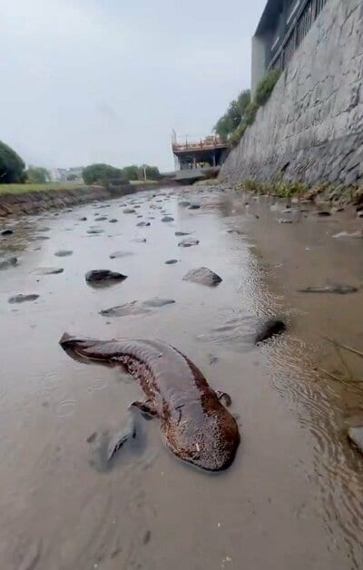 投稿の画像