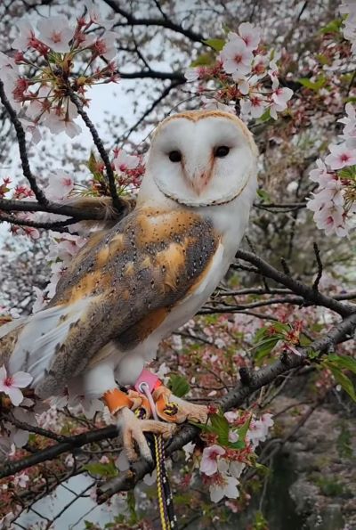 投稿動画のワンシーン