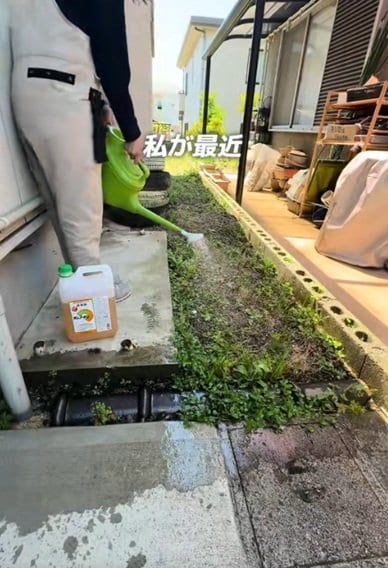投稿の画像