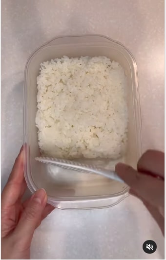 エビフライが並んだ豪華な「ジャンボエビフライ弁当」タッパー弁当とは思えない豪華なお弁当が話題