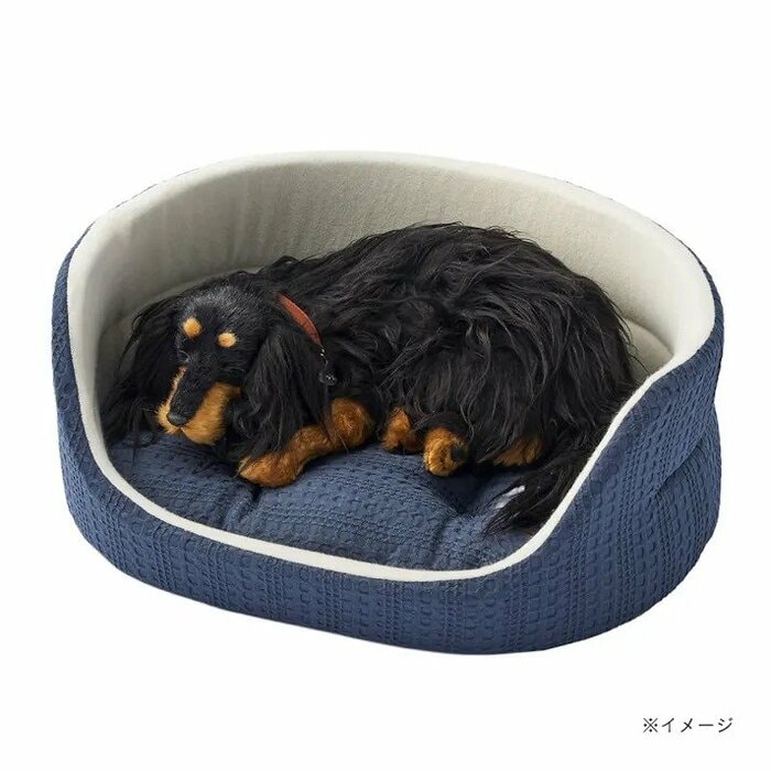 サイズ展開がS、M、Lの3種類と豊富なのも大きな魅力です