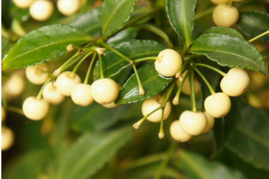 skymoon13/istockphoto.com