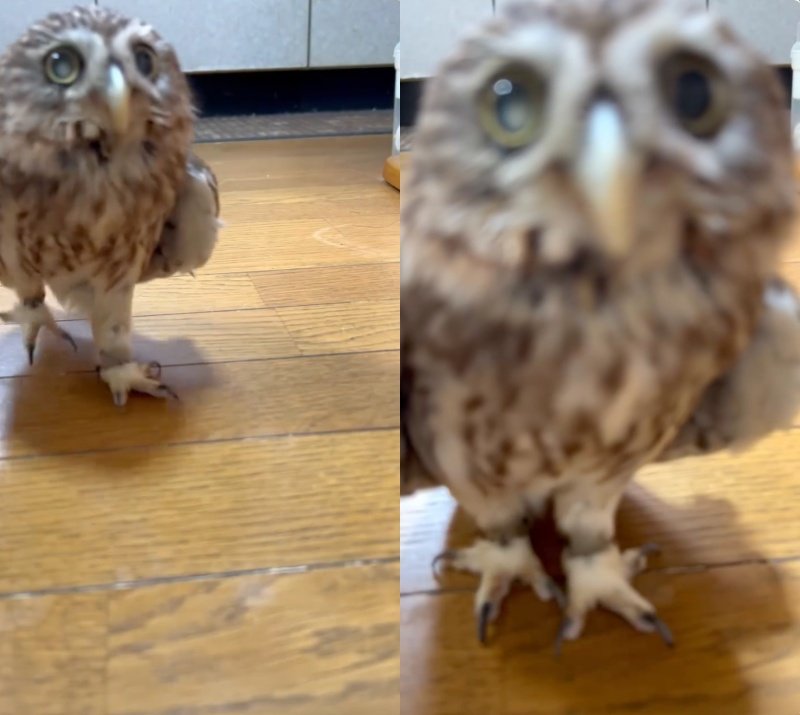 出所：@cr8673.hiro