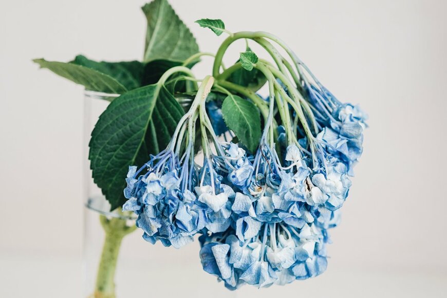 Aunyaluck/Shutterstock.com