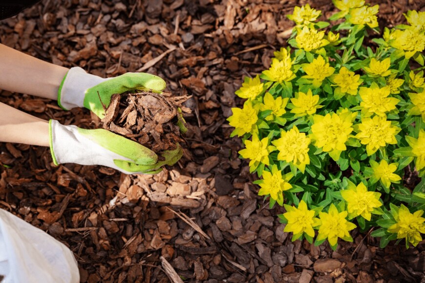 ronstik/istockphoto.com