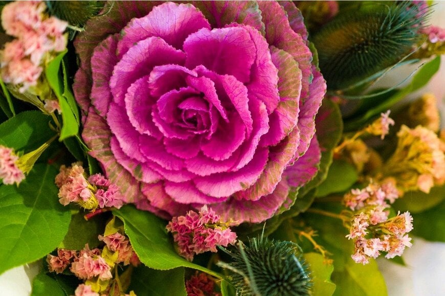 Phoenixproduction/istockphoto.com