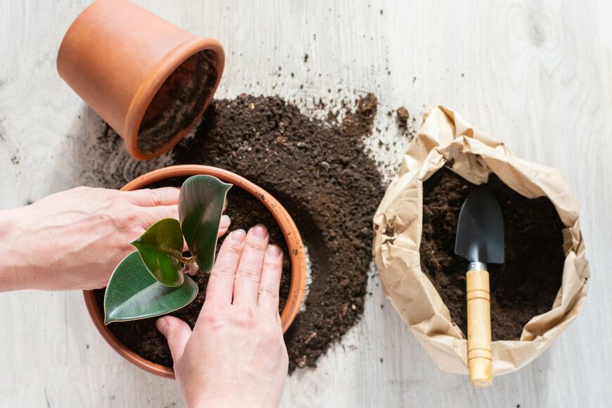 pundapanda/Shutterstock.com