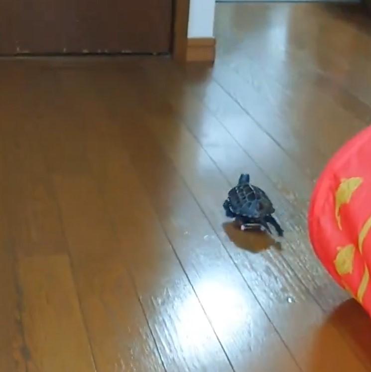 出所：@Mh0MLiErcV8E97C