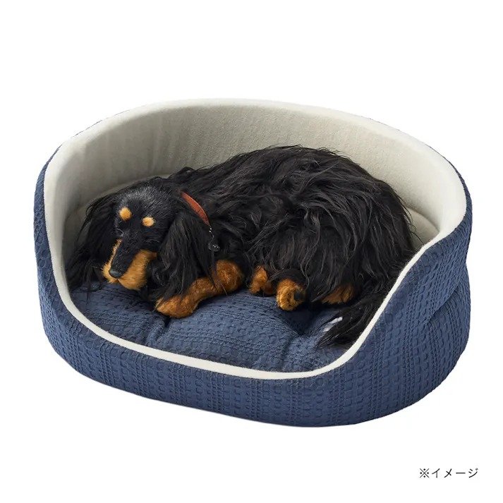 画像出所：カインズ公式オンラインストア