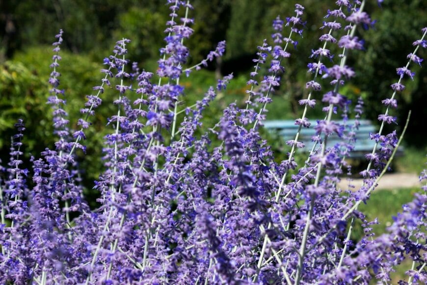 Nikilev/shutterstock.com