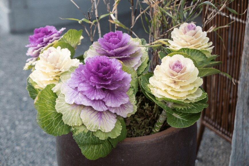 lrosebrugh/istockphoto.com