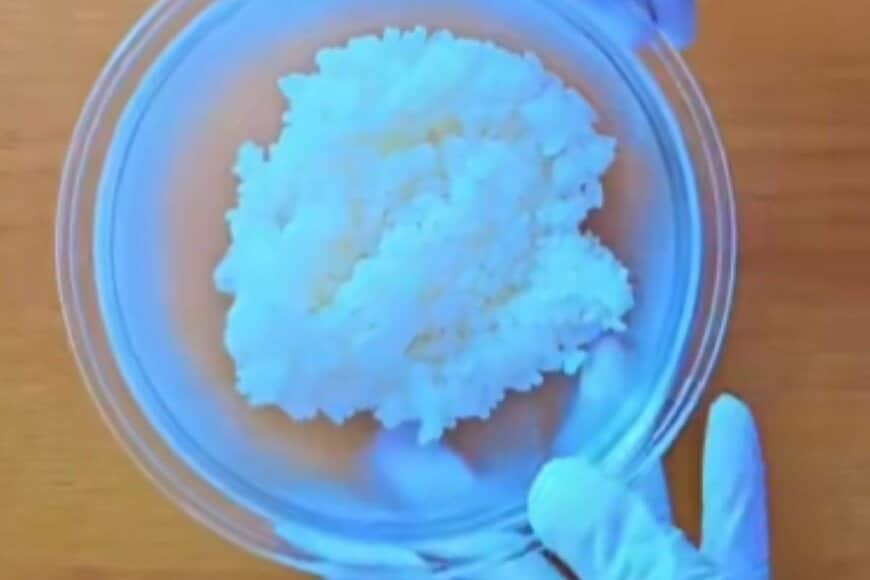 コロンと丸いおにぎりが可愛い「スヌーピー弁当」　子供も大人も喜ぶ「簡単キャラ弁」はおかずもギュウギュウ