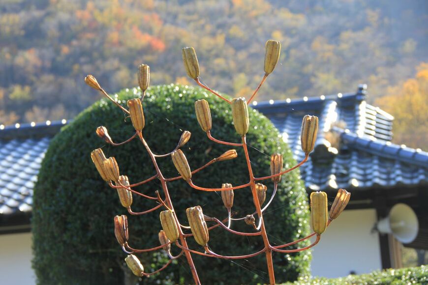 Shingo76Misumaru/shutterstock.com