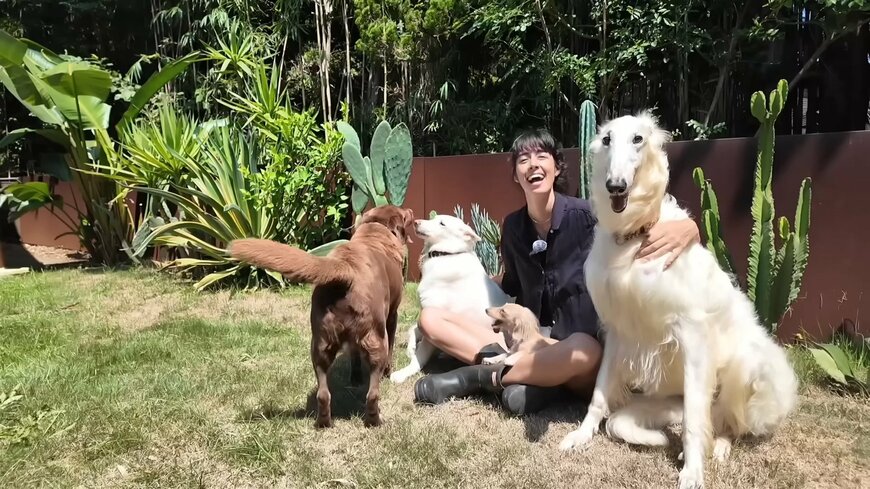 出所：森泉のYouTube（@IZOOMIChannel）参照日：2025年9月2日