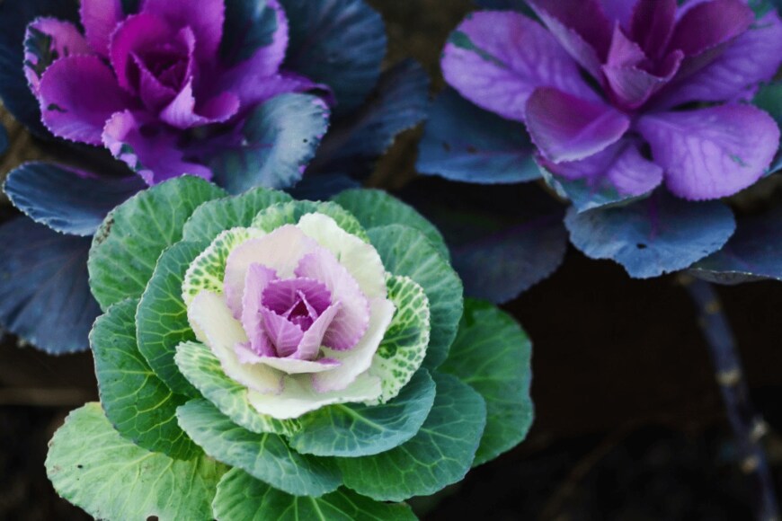 razyph/istockphoto.com