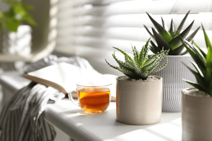 Liudmila Chernetska/shutterstock.com