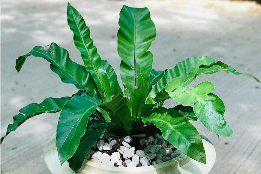 kendoNice/istockphoto.com