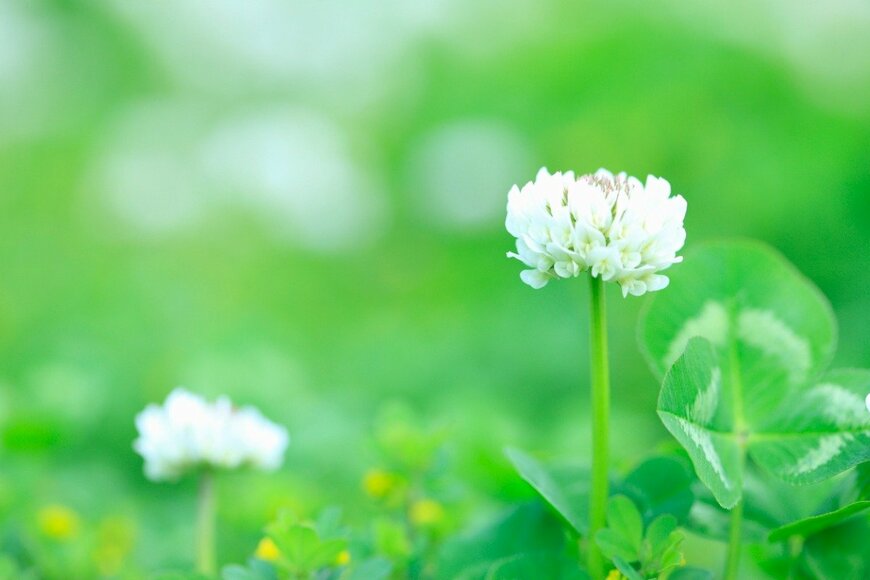 gyro/istockphoto.com