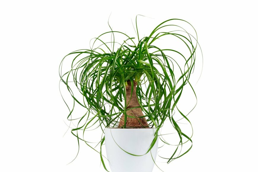 SzB/shutterstock.com