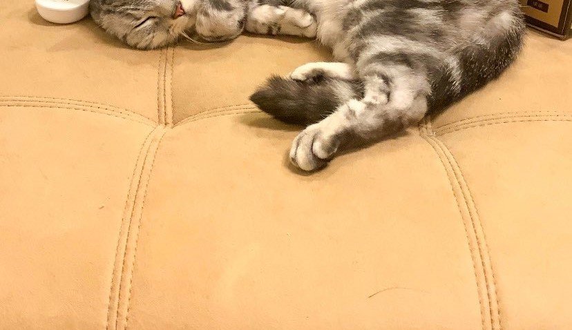 5. 水分補給を続ける