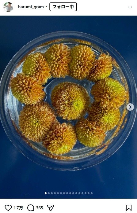 出所：栗原はるみのInstagram（＠harumi_gram） 参照日：2026年3月31日