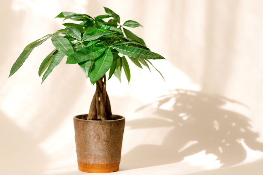 Polina Sergeyeva/istockphoto.com